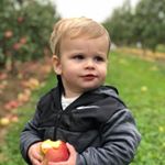 Profile Picture of Steve Karrasch (@stevekarrasch) on Instagram