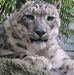 Profile Picture of Lori Detweiler (@lori.detweiler.73) on Facebook