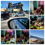 Profile Picture of Luann Morgan (@luann.morgan) on Instagram