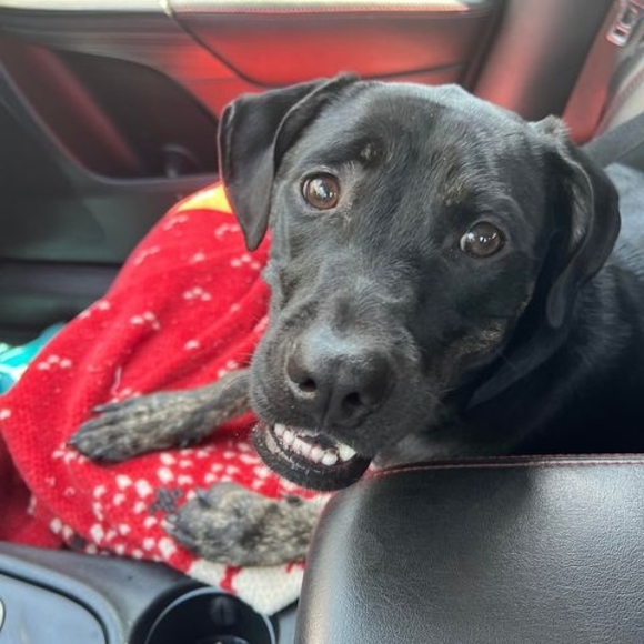 Michael Staines - Poshmark Profile Picture of Michael Staines (@michaelstain961) on Poshmark