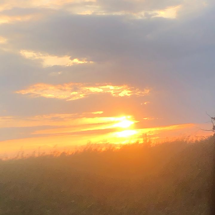 Profile Picture of fewswchh (@jason_mcmannis) on Tiktok