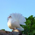 Profile Picture of Stowel (@stowelfranlow) on Instagram