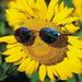 Profile Picture of Cindy Solano Martinez (@kids18) on Pinterest