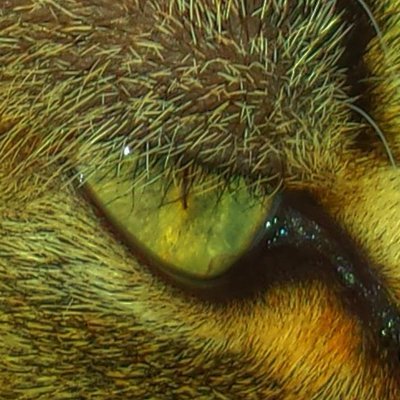 Profile Picture of Daryl Bowen (@sailhigher) on Twitter