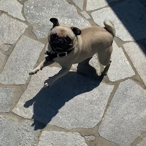 Profile Picture of Matthew Ahn (@@matthewahn) on Tiktok