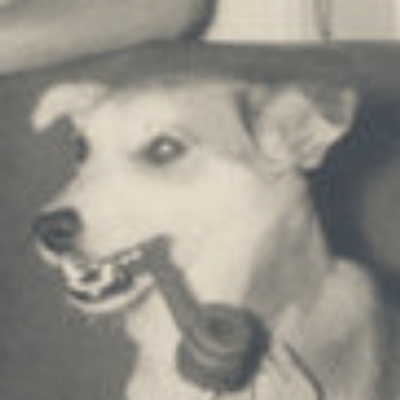 Profile Picture of James Mackenzie (@mrjamesmack) on Twitter