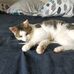 Profile Picture of Thomas Huzer (@thomas.huzer.75) on Facebook