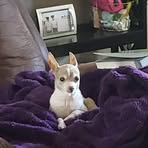 Profile Picture of Angie Levings (@angie.levings) on Facebook