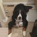 Profile Picture of Aaron Swayne (@swaynea1) on Pinterest