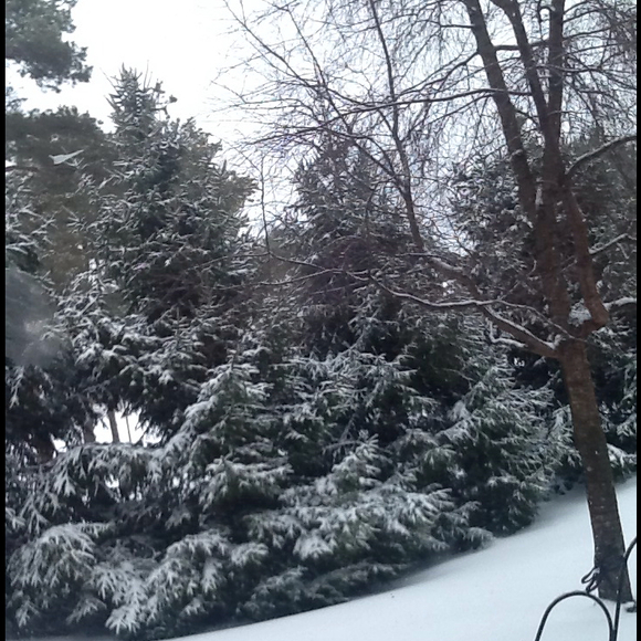 Profile Picture of Claire Horlings (@claires_closet) on Poshmark