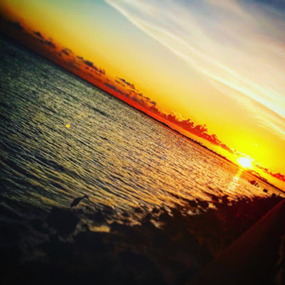 Profile Picture of Daniel Romo (@danyx27x) on Poshmark