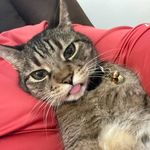 Profile Picture of Jason Meschke (@jason_h_meschke) on Instagram