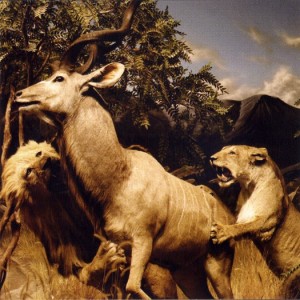 Profile Picture of Our Love to Admire - Wikipediaon Wikipedia