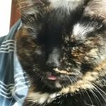 Profile Picture of Carl Beck (@carlcbeck) on Instagram