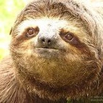 Profile Picture of Alex (@bubbapayne1) on Instagram