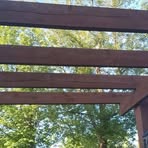 Profile Picture of Tomek Witkowski (@Tomek-Witkowski) on Facebook