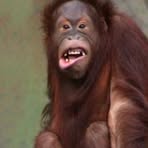 Profile Picture of Benjamín Barnik (@Benjamín-Barnik) on Facebook