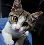 Profile Picture of Dan Bolda (@Dan-Bolda) on Facebook