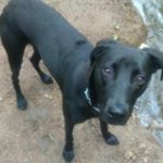 Profile Picture of Peter Macey (@pmacey2) on Instagram