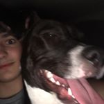 Profile Picture of David Kelsey (@david.kelsey.75286) on Instagram