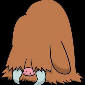 Profile Picture of CapnPutnam (@evanputnam3) on Tiktok