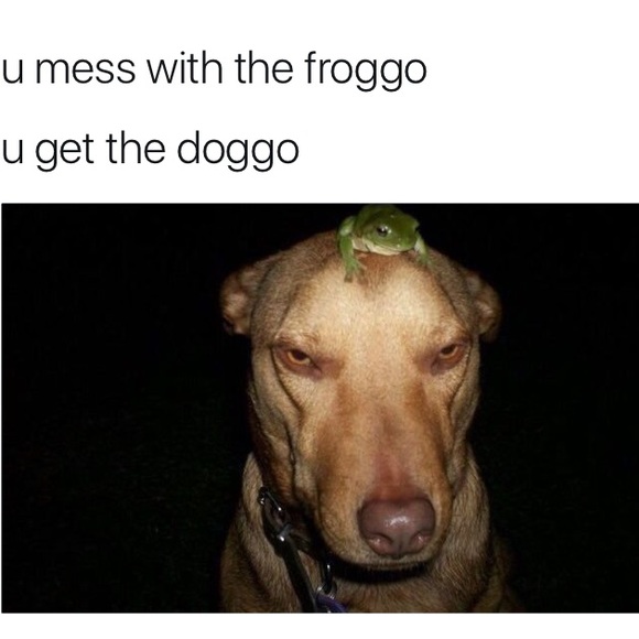 Profile Picture of Christopher Lomauro (@maurothrifts) on Poshmark