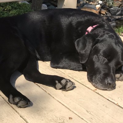 Profile Picture of Amy Bennet (@BennetAmelia) on Twitter
