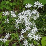 Profile Picture of Beverly Hughes (@beverlyhughes4615) on Instagram