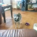 Profile Picture of James Beneventi (@James-Beneventi) on Facebook