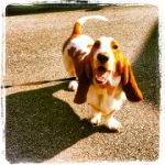 Profile Picture of Gary Kinkley (@gkinkley) on Instagram