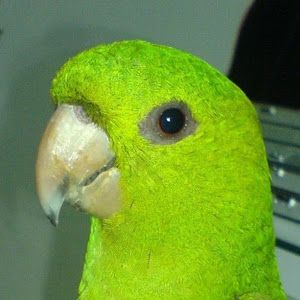 Profile Picture of robert ze (@robertze64) on Tiktok