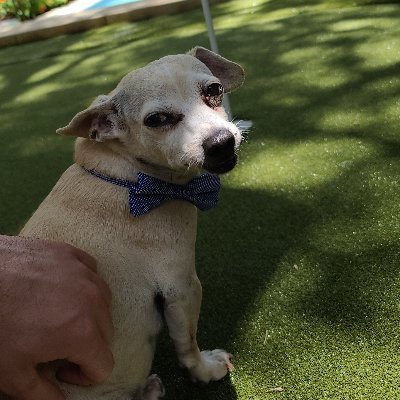 Profile Picture of Lucas Emilio Lopez (@lel_experience) on Twitter