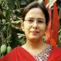 Profile Picture of Shashi Singh (@shashi-singh-433) on Quora