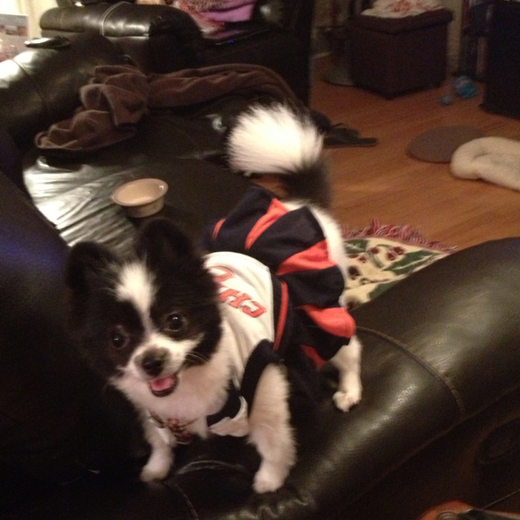 Profile Picture of Hilary Osiecki (@hilaryohh) on Poshmark