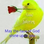 Profile Picture of Simon Ngugi (@simon.ngugi.9469545) on Instagram