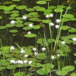 Profile Picture of Boothbed (@boothbedbertol) on Instagram