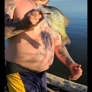Profile Picture of Chris Ault (@chrisbuzzjr.ault) on Facebook