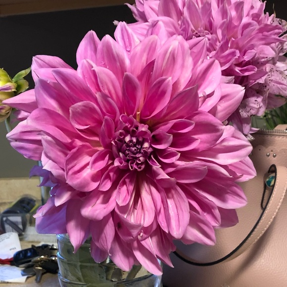 Profile Picture of Courtney Shoro (@cshoro) on Poshmark