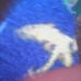 Profile Picture of Lorinie Samande (@lorinie.samande) on Facebook