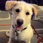 Profile Picture of Jessica Ahles (@jahles94) on Instagram