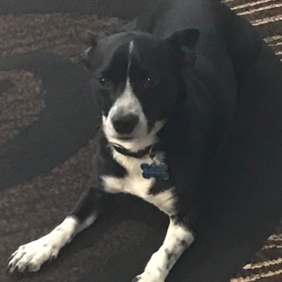 Profile Picture of Themuffinman671 (@DavidRangelTap5) on Twitter