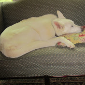 Profile Picture of Erin Badger (@erinbadger2158) on Youtube