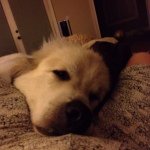 Profile Picture of Deborah Cahill (@cahilldeborahgmailcom) on Instagram