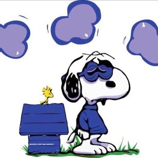 Profile Picture of Michael Reina (@michael_reina) on Instagram