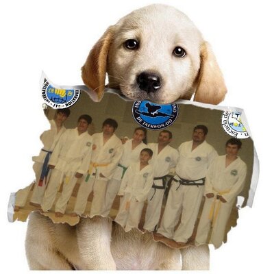 Profile Picture of Lucas Oliva (@lucasoliva20) on Twitter