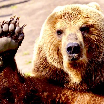 Profile Picture of Dave Yaun (@YaunDave) on Twitter