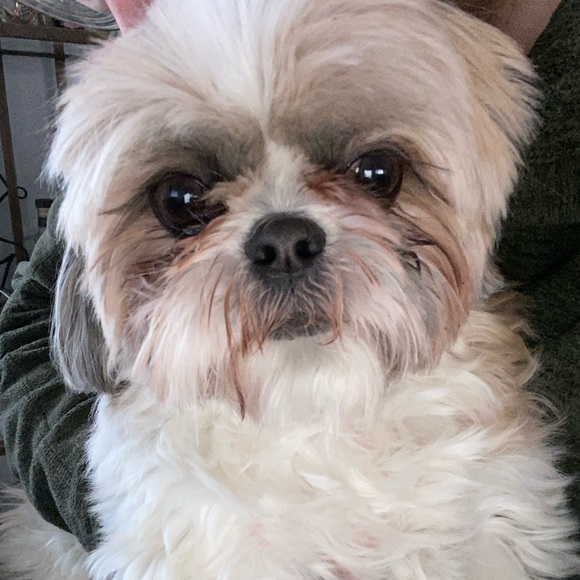 Profile Picture of Ben Briant (@bencbriant) on Poshmark