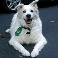 Theresa Mcadam - Quora Profile Picture of Theresa Mcadam (@theresa-mcadam-3) on Quora