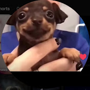 Profile Picture of Jade Silva (@jadesilva5193) on Youtube