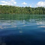 Profile Picture of Andrew Vincent (@avmarrone) on Instagram